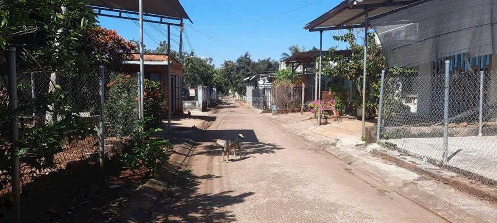 Chính chủ cần bán đất ở ấp 2, xuân đường, cẩm mỹ, đồng nai.