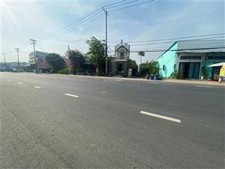 Bán đất thổ cư 1600m2 mt trần đại nghĩa, bình chánh