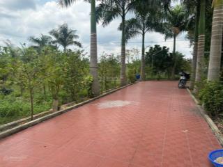 Bán nhà vườn nghỉ dưỡng 6.450m2 gần bv nhi đồng bình chánh