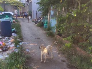 Bán rẻ lô góc 2mt 259m2 full thổ cư xã tân kiên