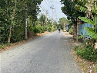 Đất to giá rẻ tại bình chánh 11.600m2 giá 3.3tr/m2