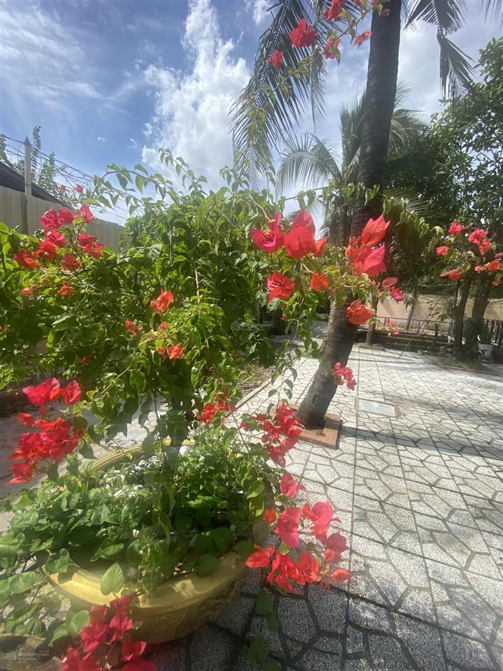 Bán biệt thự nhà vườn 1200m2 thổ cư 2 mặt tiền xã tân nhựt