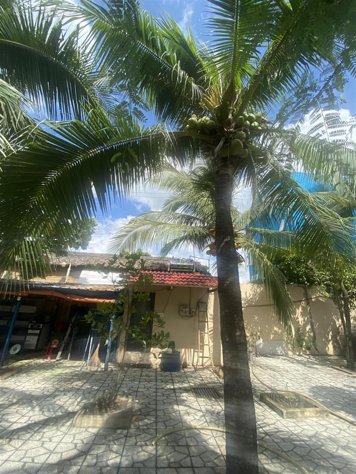 Bán biệt thự nhà vườn 1200m2 thổ cư 2 mặt tiền xã tân nhựt