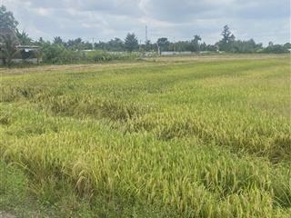 Cần bán rẻ đất 2.000m2 đường láng cát xã tân nhựt