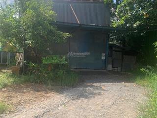 Cần bán rẻ kho 811m2 mt dương đình cúc tân kiên bình chánh