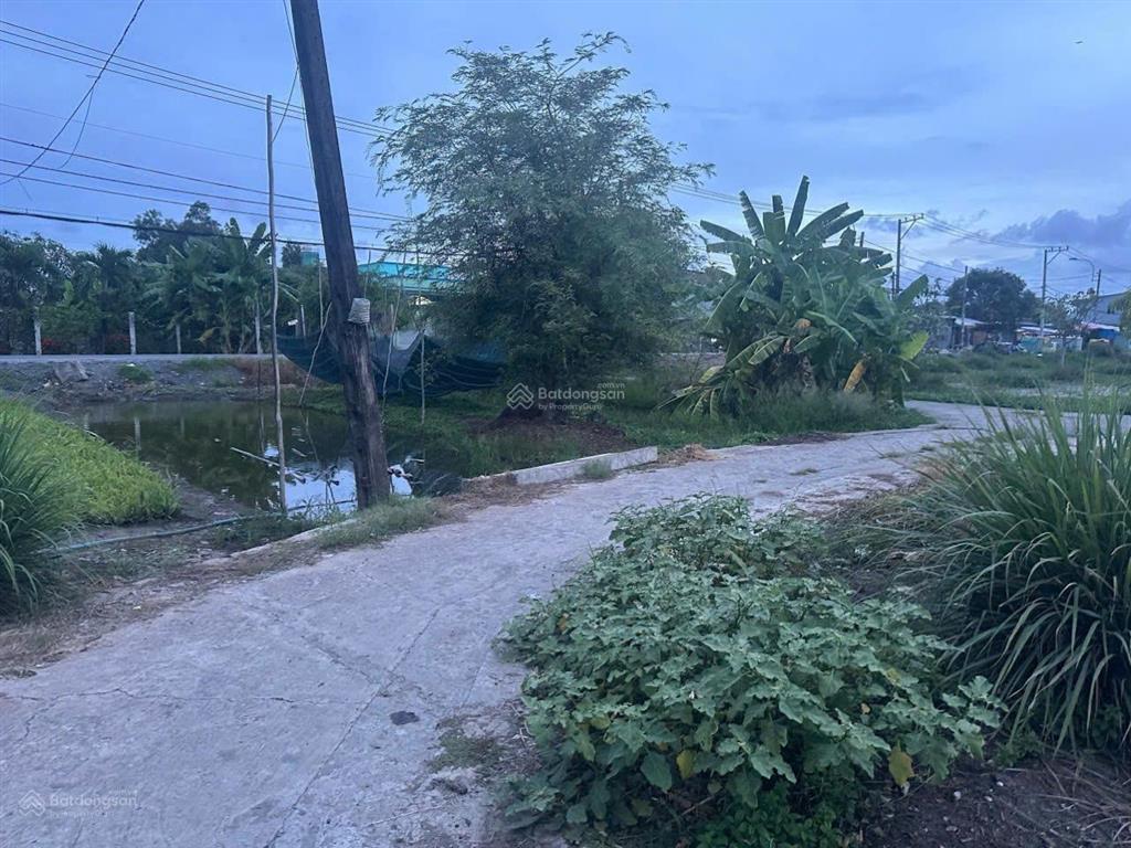 Bán đất 2302m2 thổ cư hưng long, phù hợp phân lô ngang 60m