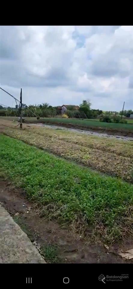 Bán đất 2302m2 thổ cư hưng long, phù hợp phân lô ngang 60m