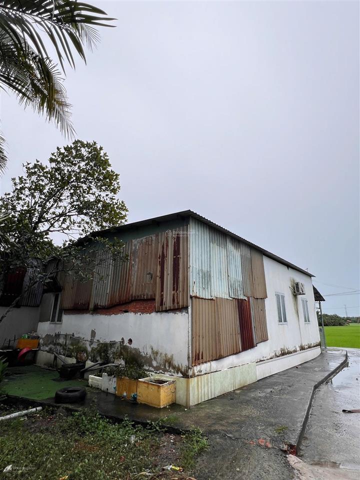 Bán nhà hxh 330m2 thổ cư xã tân nhựt giá quá rẻ 3.6ti