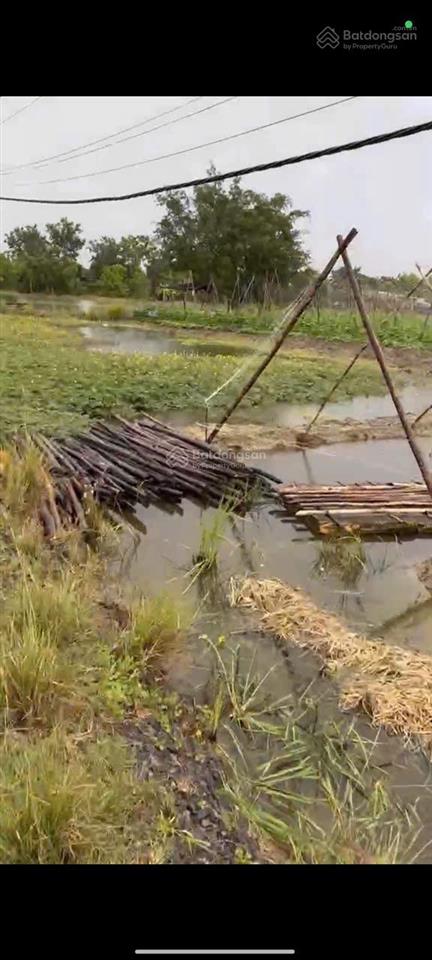 Bán rẻ đất nông nghiệp 1000m2 đường xe hơi giá 2.2ti