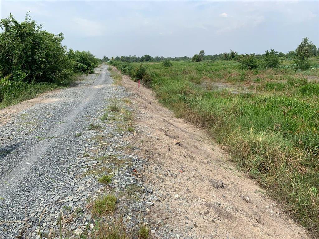 Ngộp cần bán gấp 1.500m2 gần vành đai 3, bình lợi