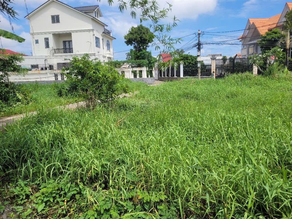 Bán đất dân cư 1.258m2 giá tốt cho nhà đầu tư