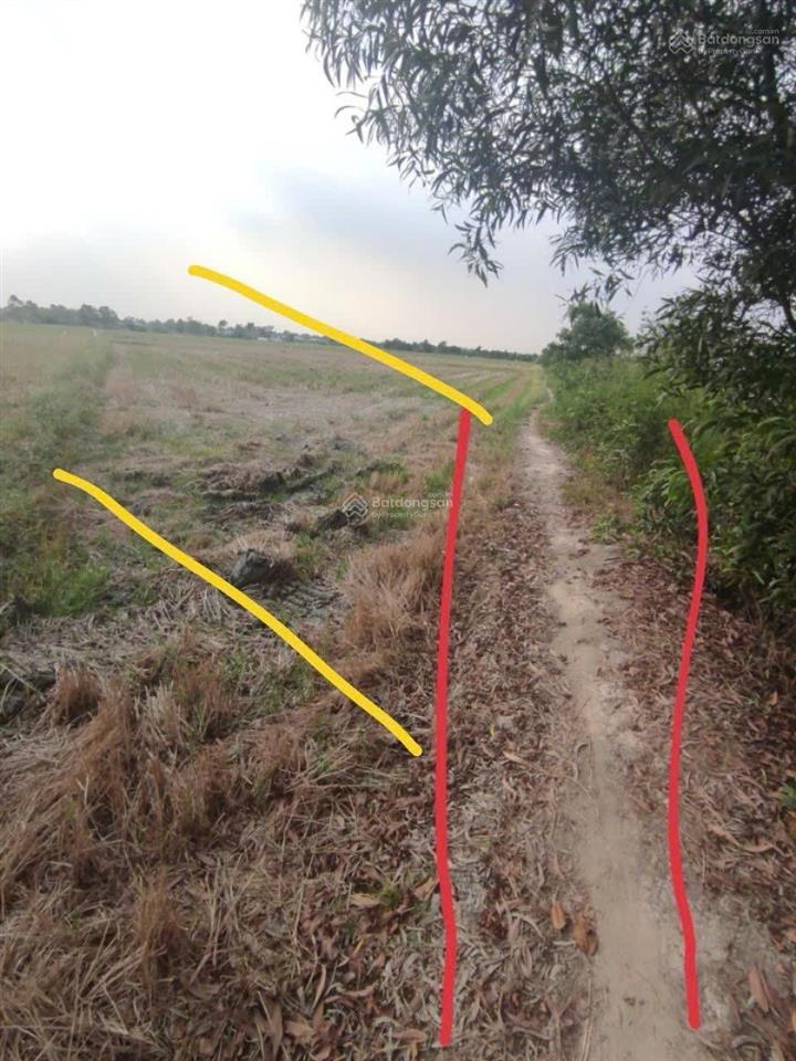 Bán đất 640m2 giá 900 triệu tại xã tân nhựt, bình chánh