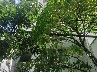 Bán nhà Dương Quảng Hàm - sau lưng Emart Phan Văn Trị, 6/8,3x24m, 6 Tầng, 32 PN, 26,5 tỷ.
