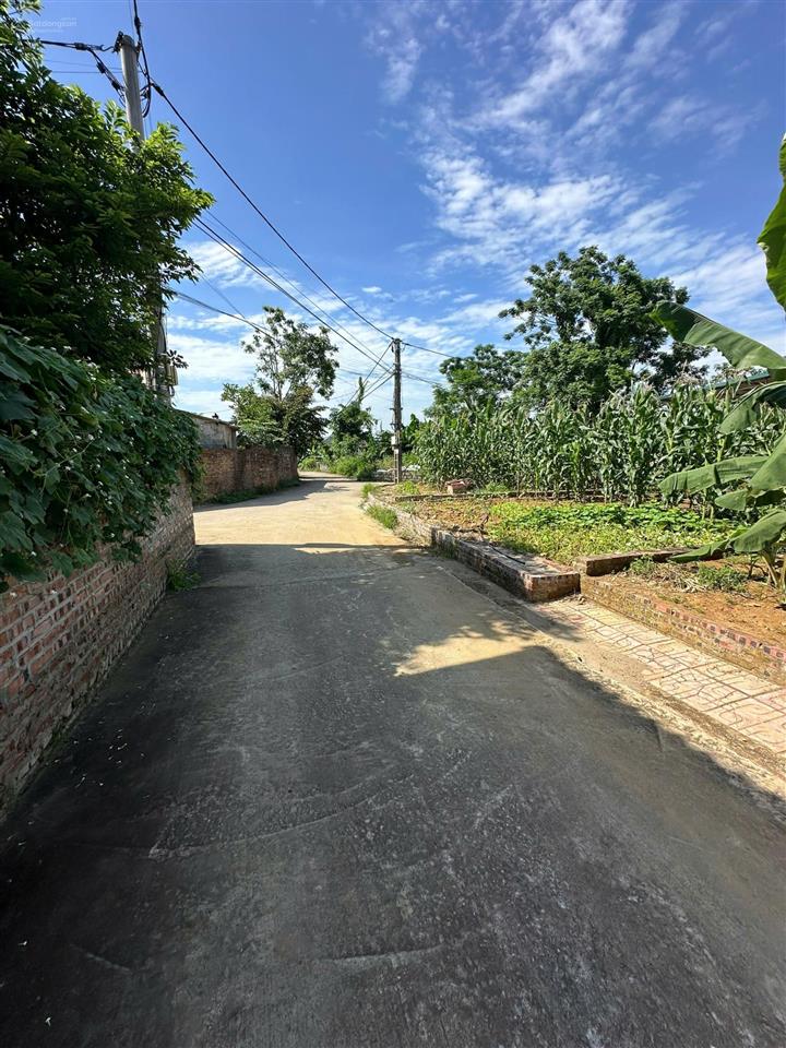 Đất thổ cư mặt tiền đẹp tại quốc oai sát kđt vệ tinh hòa lạc, đầu tư đón sóng quy hoạch