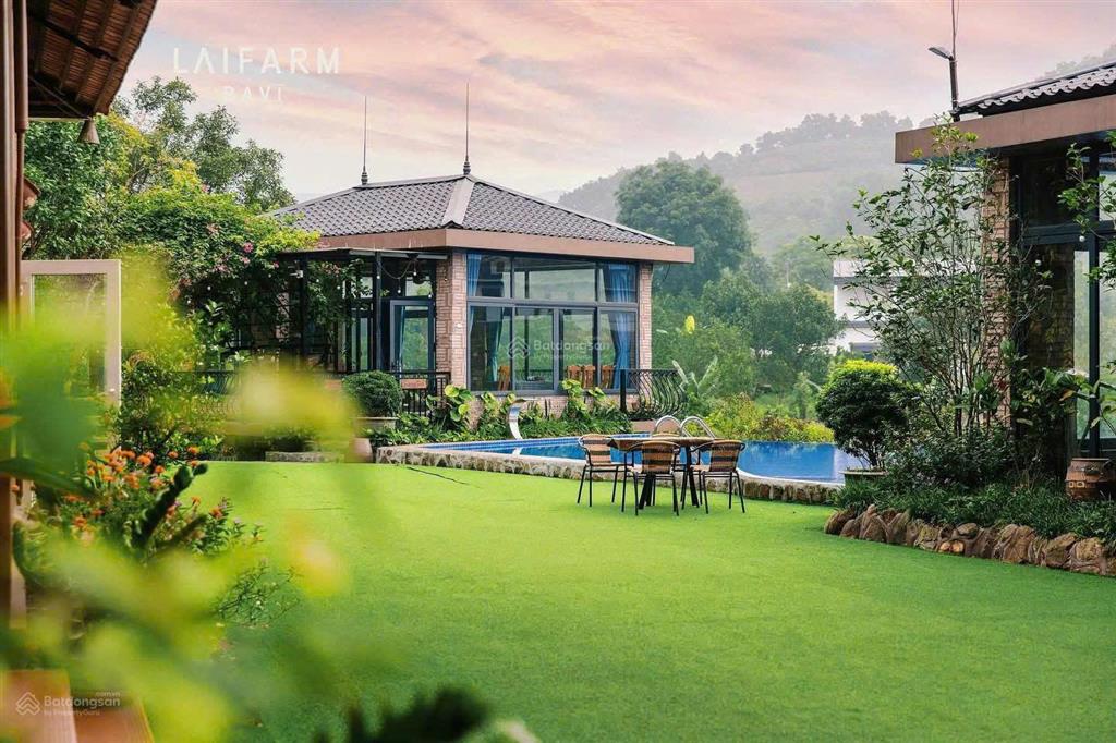 Chính chủ bán 2 lô đất liền kề mặt đường nhựa trục chính tại vân hòa, ba vì, hà nội. giá 7,5tr/m2