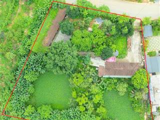 Chính chủ bán 2 lô đất liền kề mặt đường nhựa trục chính tại vân hòa, ba vì, hà nội. giá 7,5tr/m2