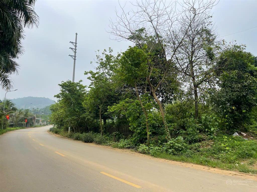 Chính chủ bán 2 lô đất liền kề mặt đường nhựa trục chính tại vân hòa, ba vì, hà nội. giá 7,5tr/m2