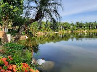 Bán đất liền kề vườn hồng từ sơn view mát mẻ, sổ cầm tay,  0326 569 ***