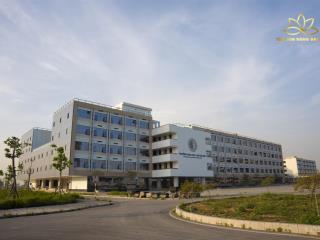 Chính chủ gửi bán lô đất lo26 làn 2 đường tỉnh lộ,gần đại học và sun group bắc ninh, 0326 569 ***