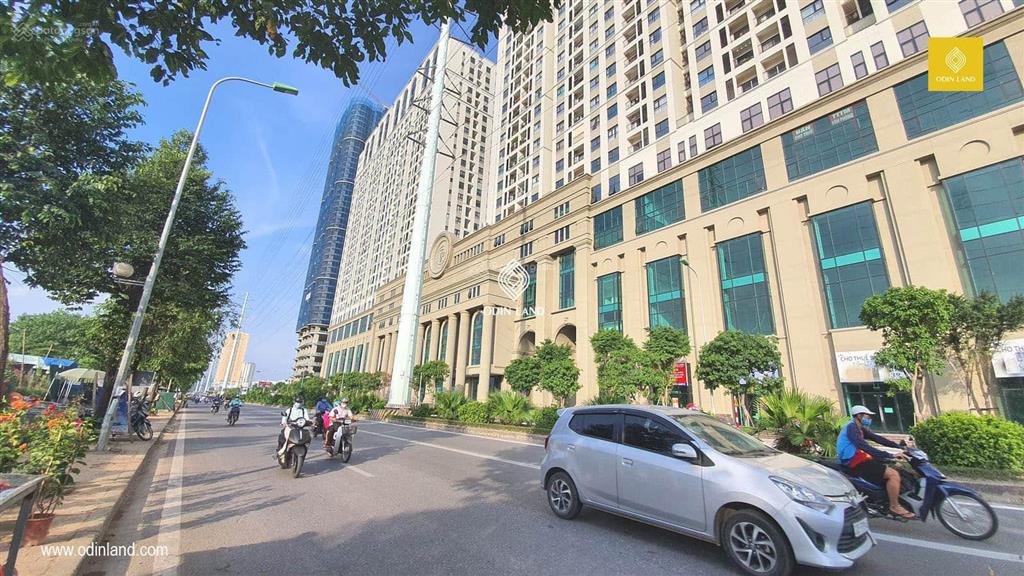Bán chân đế chung cư tầng 1, dt 265m2, roman plaza tố hữu, sẵn dòng tiền 1.26 tỷ/năm, sổ lâu dài
