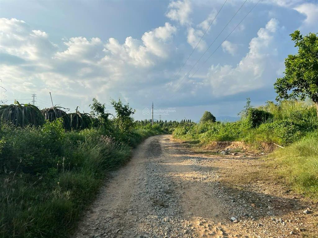 Bán nhà đất ba bàu, hàm thạnh, hàm thuận nam. đường xe hơi. chính chủ 180tr/ 1000m2. hoa hồng 2%