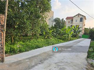 Chính chủ bán lô góc 444,2m2 đất kim sơn, thuận an, gia lâm. cách 10m ra đường đê ô tô đỗ tránh.