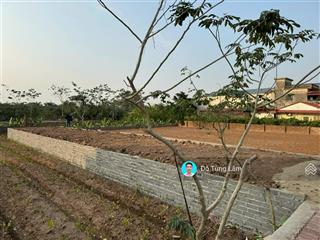Cần bán 120,6m2 đất thôn xuân đỉnh, khoái châu, hưng yên. cạnh nhà hàng vỹ dự  coffe hoa nắng