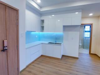 Chính chủ cho thuê căn hộ viva plaza nhà mới 54m2, 1pn view đẹp giá 7tr5/th,  ngay 0971 215 ***
