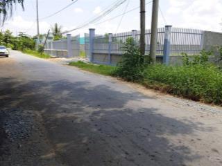Bán 1,576m2, đất mt đường 19/5, ấp xóm mới, xã tân lân, h. cần đước (cách tt tp. hcm 20km)