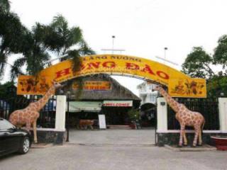 Chính chủ bán đất 1240m, nở hậu, có nhà gỗ  gần ql22, bv xuyên á  giá tốt