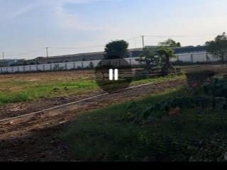 Chủ bán miếng đất 13.000m2 ngang 77 x 168m trồng cây mặt tiền lê thị kim, xuân thới sơn, hm