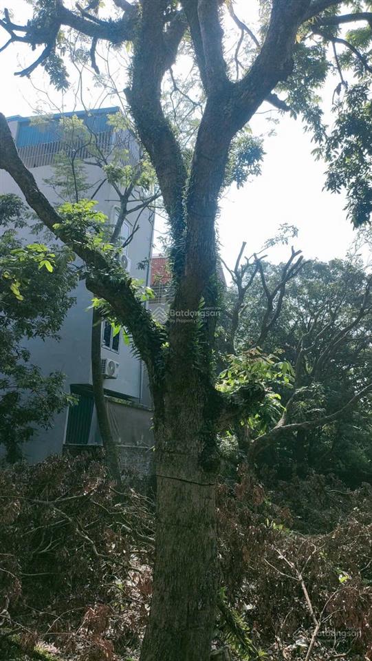 Bán 754 m2 đất ngõ thông ô tô tại xã hưng đạo, đại thành, quốc oai, hà nội, cách đường liên xã 100m