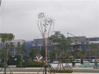 Nhà phố có 2 mặt tiền trung tâm hành chính mới thủy nguyên mà nhỉnh 7 tỷ thì mua ở đâu ở hải phòng