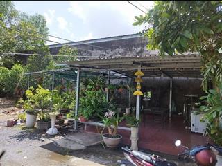 Nhà vườn đẹp bình mỹ 1000m2, củ chi