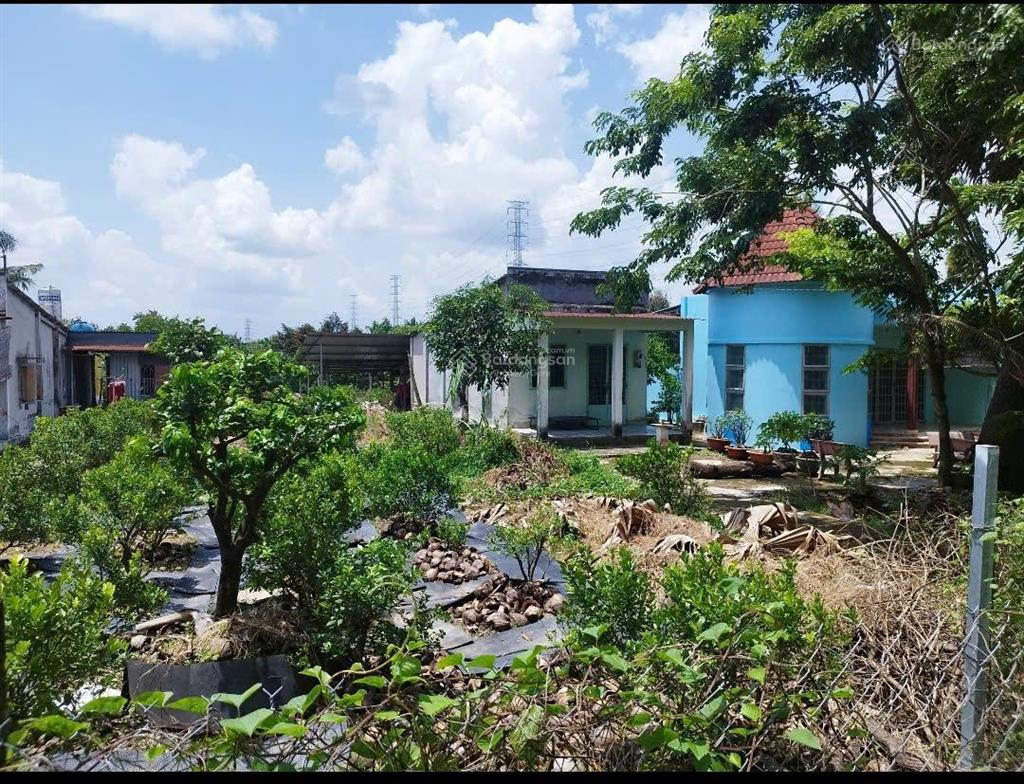 Đất mặt tiền nhựa xã bình mỹ gần cầu xáng hóc môn