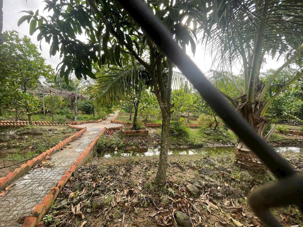 1200m2 nhà vườn kênh cây xanh xã bình mỹ chỉ 3.6 tỷ