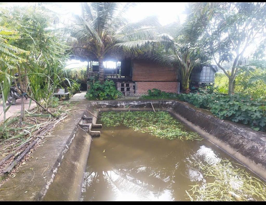 1200m2 nhà vườn kênh cây xanh xã bình mỹ chỉ 3.6 tỷ