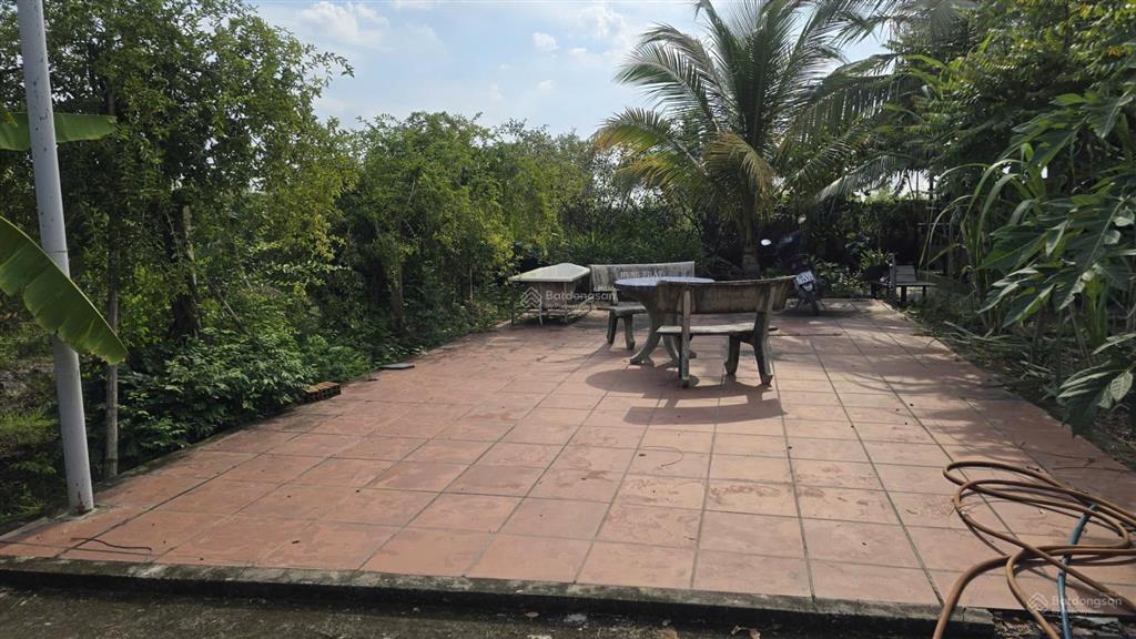 1200m2 nhà vườn kênh cây xanh xã bình mỹ chỉ 3.6 tỷ