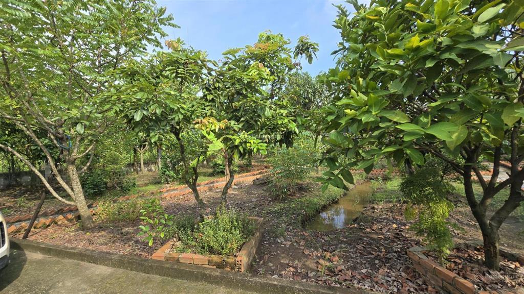 1200m2 nhà vườn kênh cây xanh xã bình mỹ chỉ 3.6 tỷ