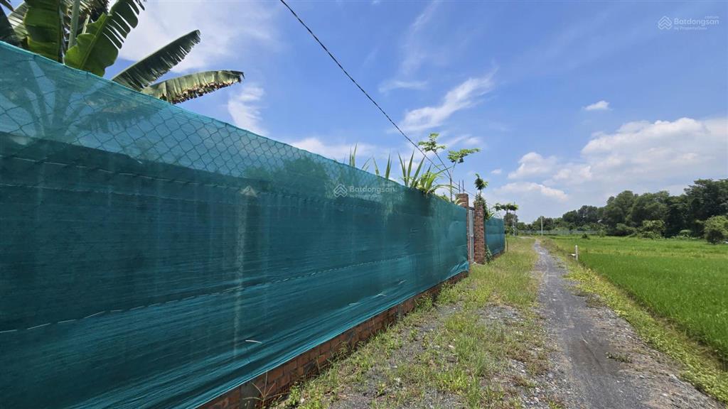 1200m2 nhà vườn kênh cây xanh xã bình mỹ chỉ 3.6 tỷ