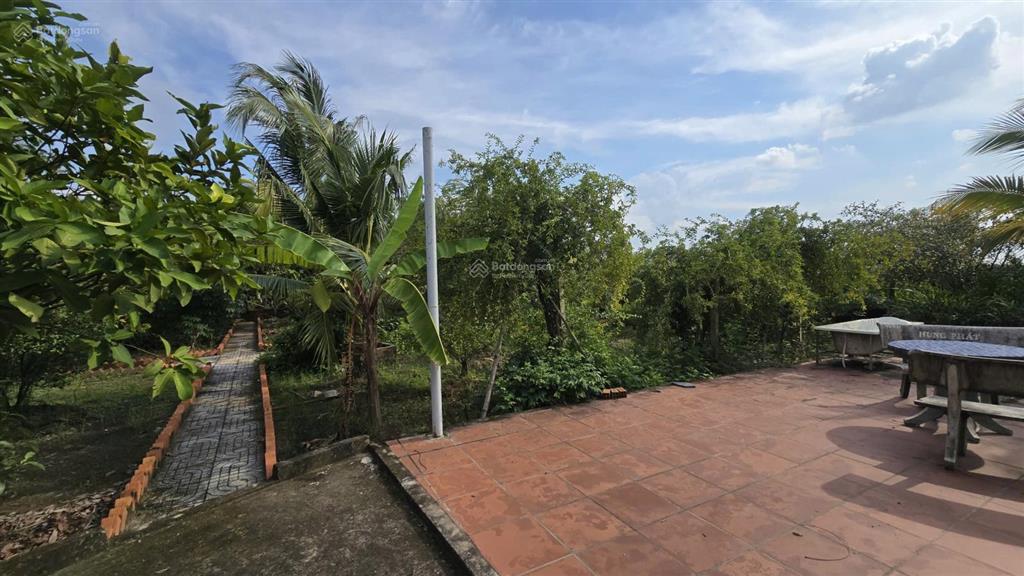 1200m2 nhà vườn kênh cây xanh xã bình mỹ chỉ 3.6 tỷ