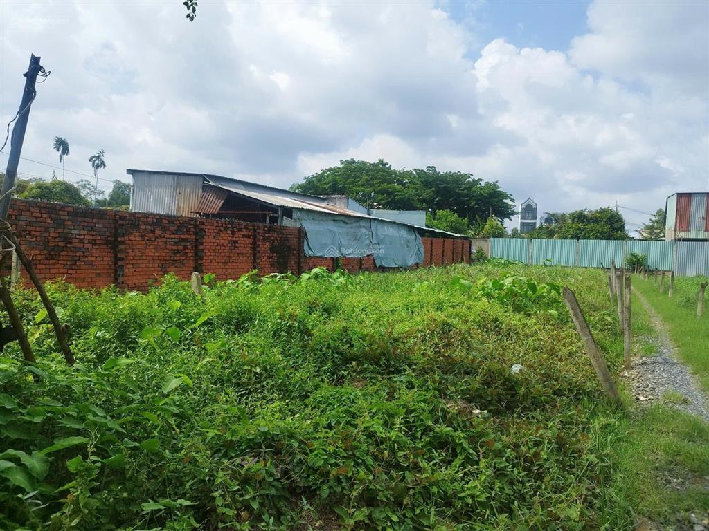 350m2 đất thổ gần ủy ban bình mỹ