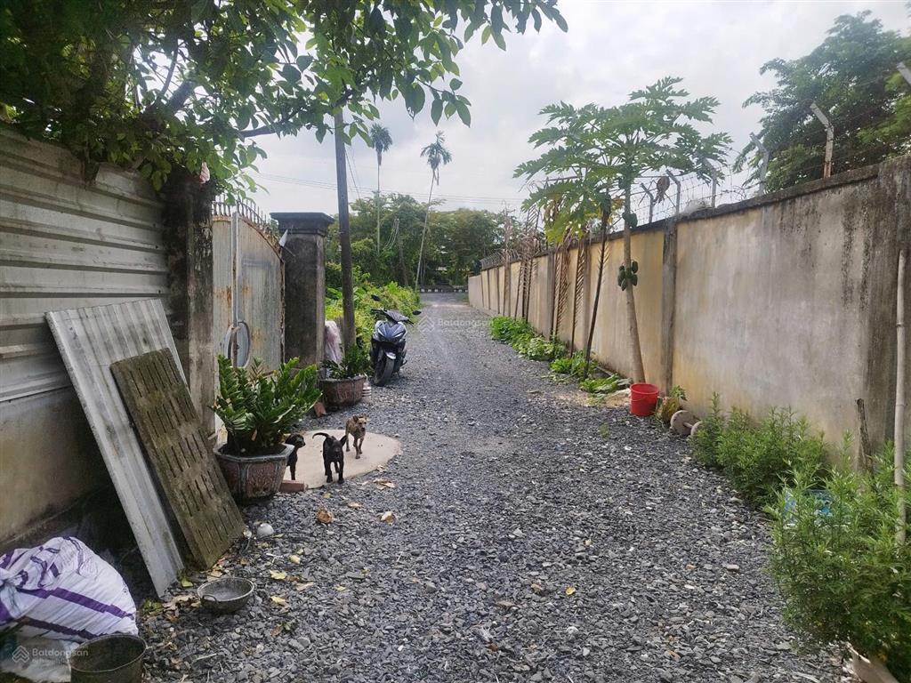 350m2 đất thổ gần ủy ban bình mỹ
