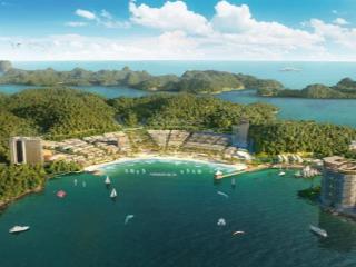 Bán căn studio chung cư xanh island cát bà  giá chỉ tùy 650 triệu đồng