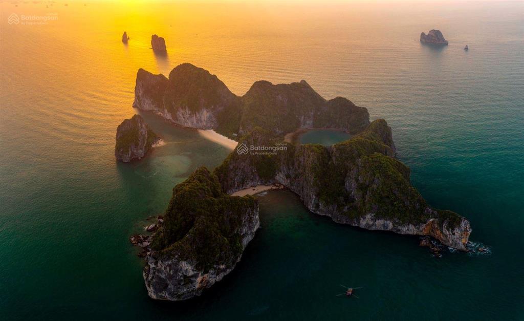 Bán căn hộ tại trung tâm du lịch bãi cháy, chỉ từ 600 triệu có thể sở hữu  ngay 0989 630 ***