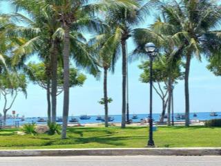Bán lô đất tiềm năng sơn trà gần biển, lưng tựa núi, khu vực phát triển mạnh, giá đầu tư cực tốt