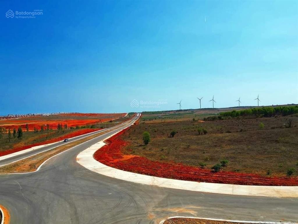 Trang trại 25ha trên đất có thanh long đang khai thác, mặt đường hòn dồ gần nova giá tốt đầu tư