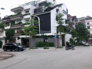 Bán biệt thự tc5 nằm ngay sát đại lộ chu văn an 100m2 mặt tiền 10m vị trí đẹp 30 tỷ 0979 688 ***