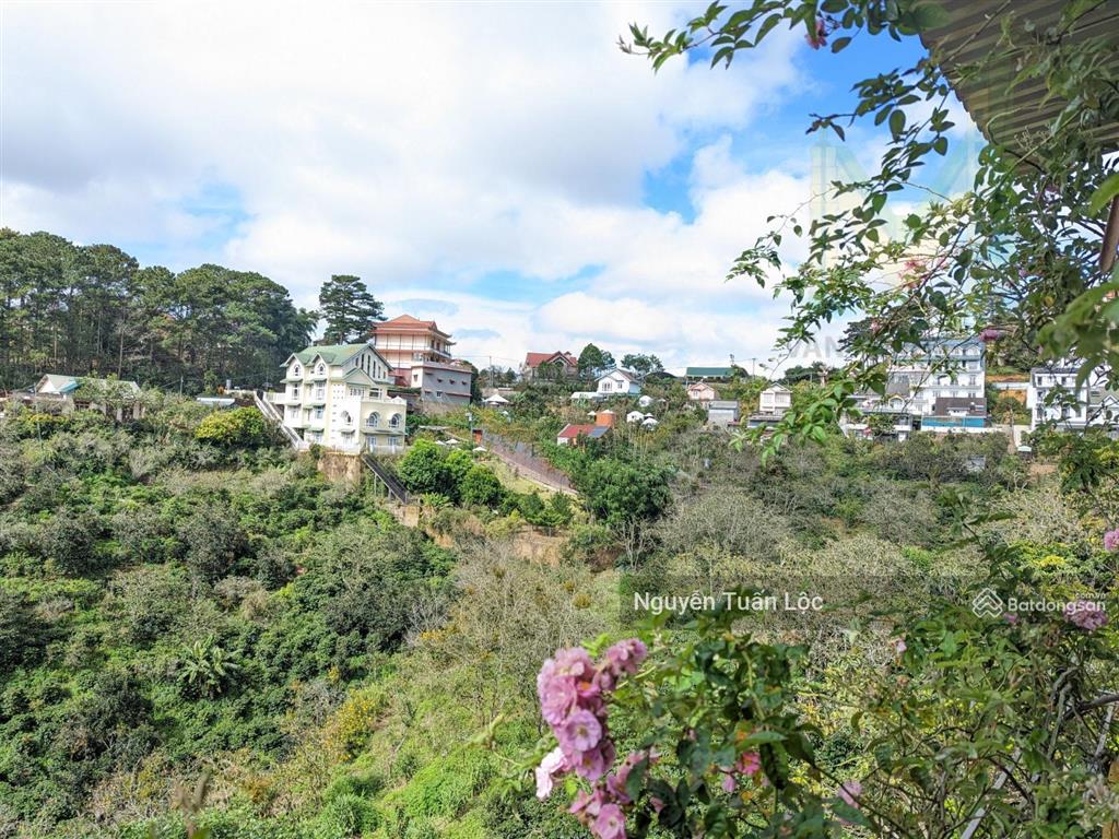 Bán gấp lô đất khe sanh, phường 10, đà lạt view rừng thông, 865m2 giá 22,5 tỷ rẻ nhất khu vực