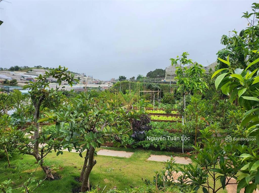 Bán gấp villa sân vườn gần 1000m2 tại trung tâm đà lạt, giá chỉ 24.5 tỷ tốt nhất thị trường